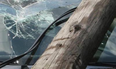 imagine-articol0_51373