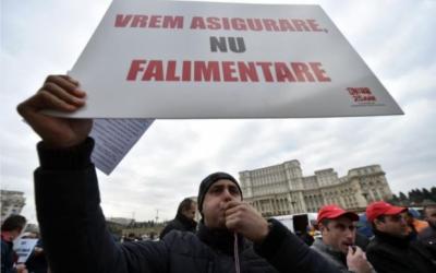 imagine-articol0_51450