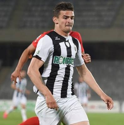 imagine-articol0_51458