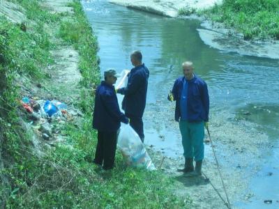 imagine-articol0_51464