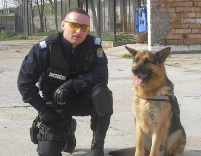 imagine-articol0_51469