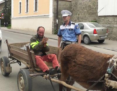 imagine-articol0_51476