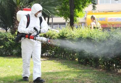 imagine-articol0_51523