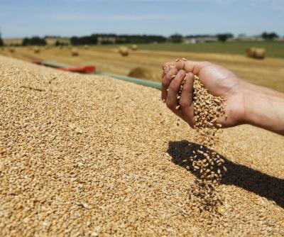 imagine-articol0_51526