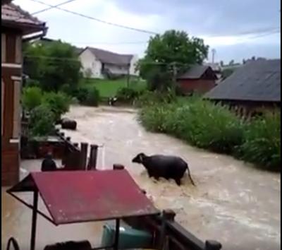 imagine-articol0_51586