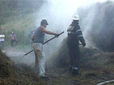 imagine-articol0_51686