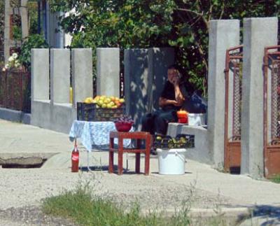 imagine-articol0_51705