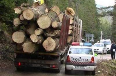 imagine-articol0_51727