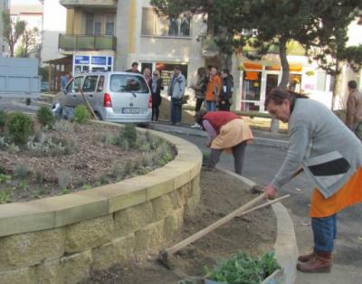 imagine-articol0_51738