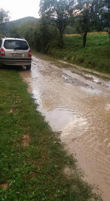 imagine-articol0_51768