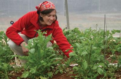 imagine-articol0_51803