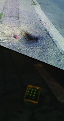 imagine-articol0_51810