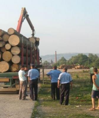 imagine-articol0_51819