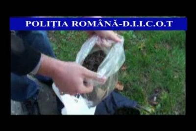 imagine-articol0_51842