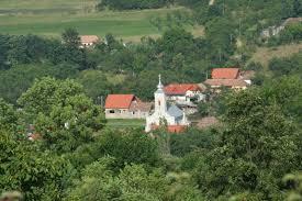 imagine-articol0_51844