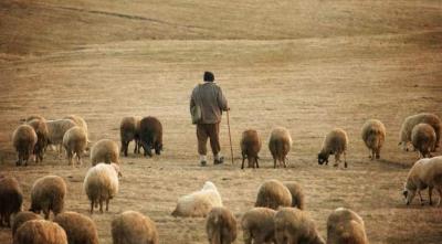 imagine-articol0_51906