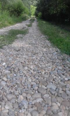 imagine-articol0_51928