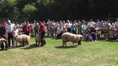 imagine-articol0_52139