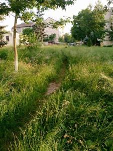 imagine-articol10_45699