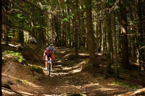 imagine-articol1_41465