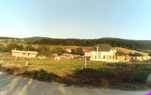 imagine-articol1_41859