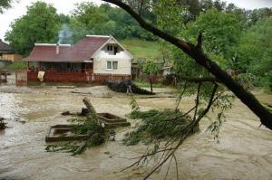 imagine-articol1_45832