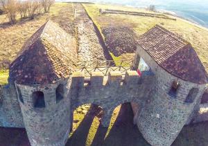 imagine-articol1_46228