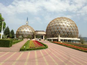 imagine-articol1_46676