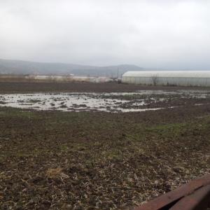 imagine-articol1_48035