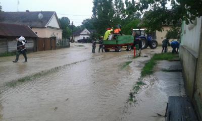 imagine-articol1_50901