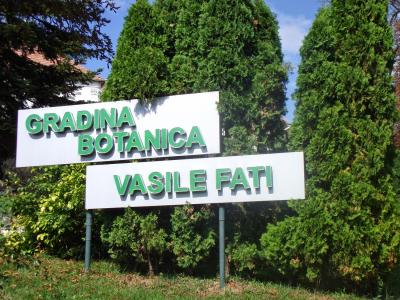 imagine-articol1_51598