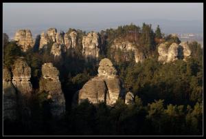 imagine-articol2_39885