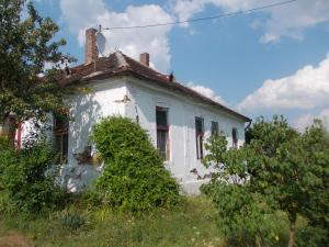 imagine-articol2_41345