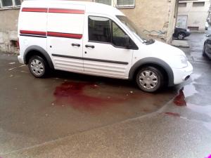 imagine-articol2_44275