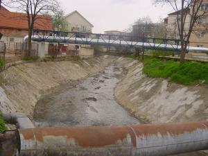 imagine-articol2_44520