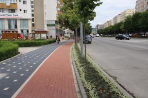 imagine-articol2_45775