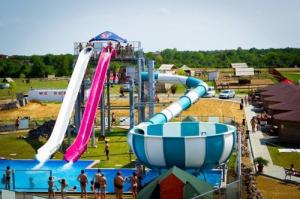 imagine-articol3_45605