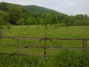 imagine-articol3_45649