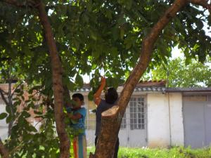 imagine-articol3_45894