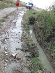 imagine-articol3_46703