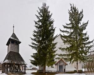 imagine-articol3_48732