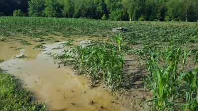 imagine-articol3_50988