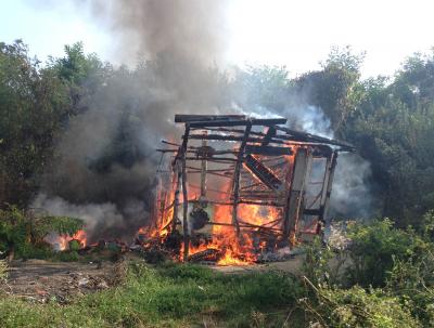 imagine-articol3_51720