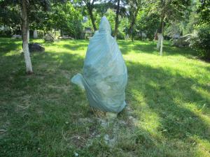 imagine-articol4_45669