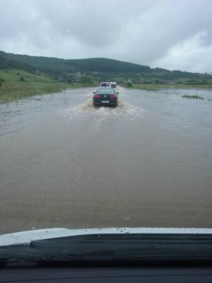 imagine-articol4_50896