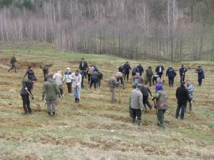 imagine-articol5_44683