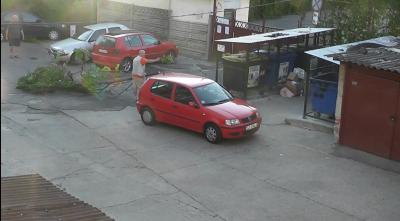 imagine-articol5_51160