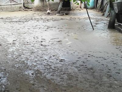 imagine-articol7_51098