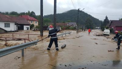 imagine-articol7_51601