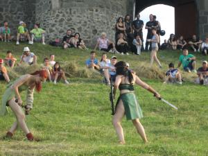 imagine-articol9_45968